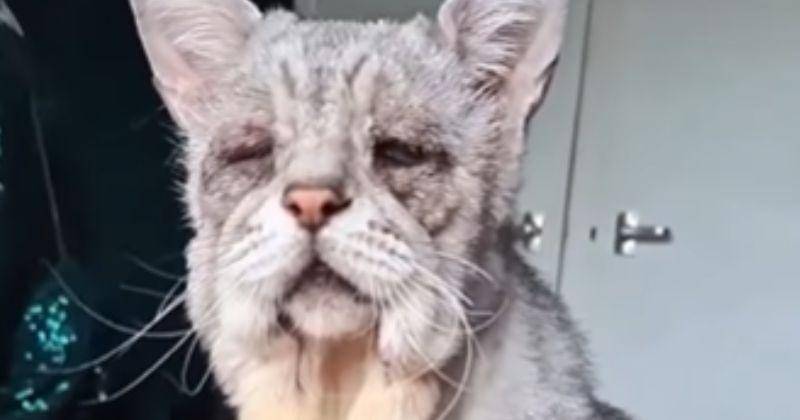 Instagram.com/put3littlekitchen